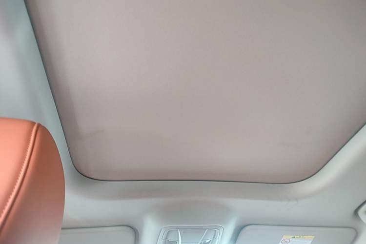 Used Haval H9 2024 2.0T Gasoline All-Wheel-Drive Extreme Edition Headliner