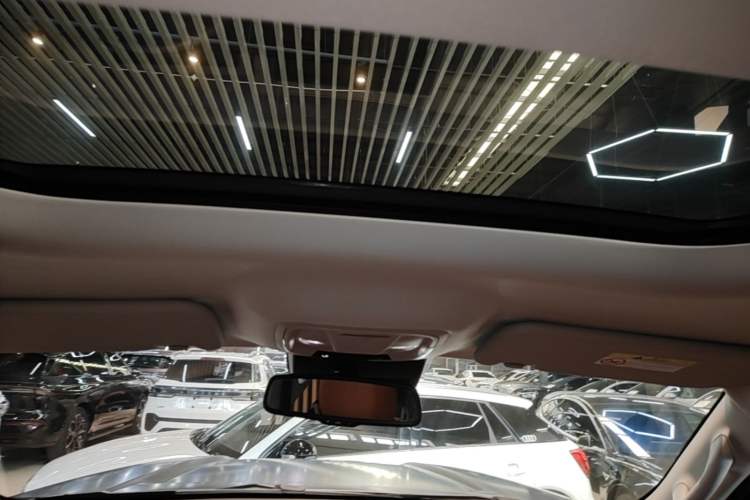 Used Haval H9 2024 2.0T Gasoline All-Wheel-Drive Extreme Edition Headliner