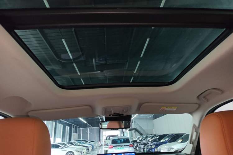 Used Haval H9 2024 2.0T Gasoline All-Wheel-Drive Extreme Edition Headliner