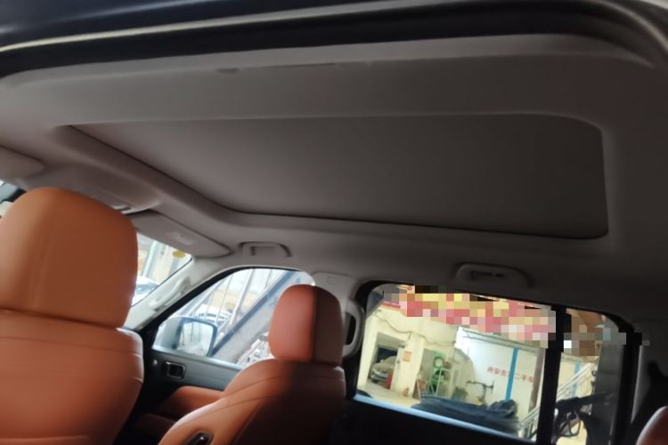Used Haval H9 2024 2.0T Gasoline All-Wheel-Drive Extreme Edition Headliner
