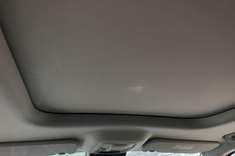 Used Haval H9 2024 2.0T Gasoline All-Wheel-Drive Extreme Edition Headliner