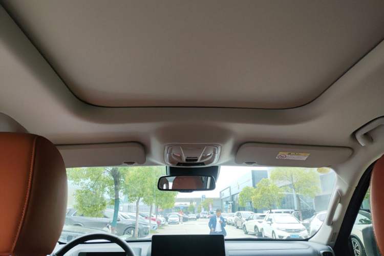 Used Haval H9 2024 2.0T Gasoline All-Wheel-Drive Extreme Edition Headliner
