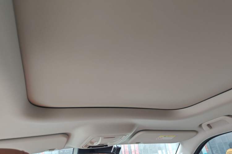 Used Haval H9 2024 2.0T Gasoline All-Wheel-Drive Extreme Edition Headliner