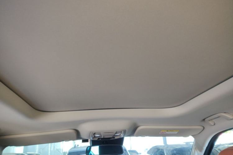 Used Haval H9 2024 2.0T Gasoline All-Wheel-Drive Extreme Edition Headliner