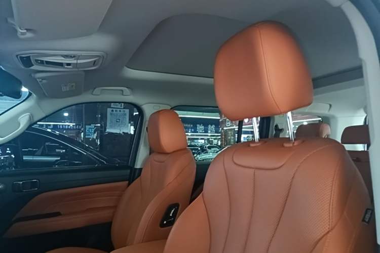 Used Haval H9 2024 2.0T Gasoline All-Wheel-Drive Extreme Edition Headliner