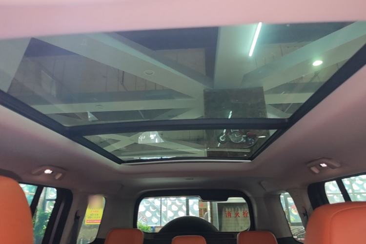 Used Haval H9 2024 2.0T Gasoline All-Wheel-Drive Extreme Edition Headliner