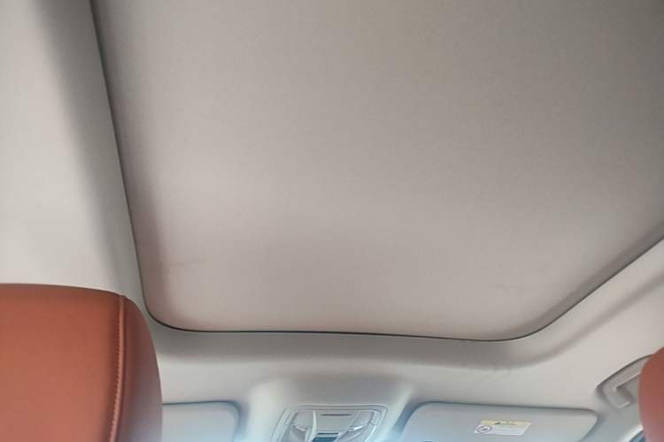 Used Haval H9 2024 2.0T Gasoline All-Wheel-Drive Extreme Edition Headliner
