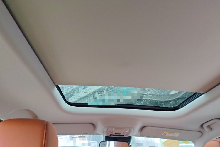 Used Haval H9 2024 2.0T Gasoline All-Wheel-Drive Extreme Edition Headliner