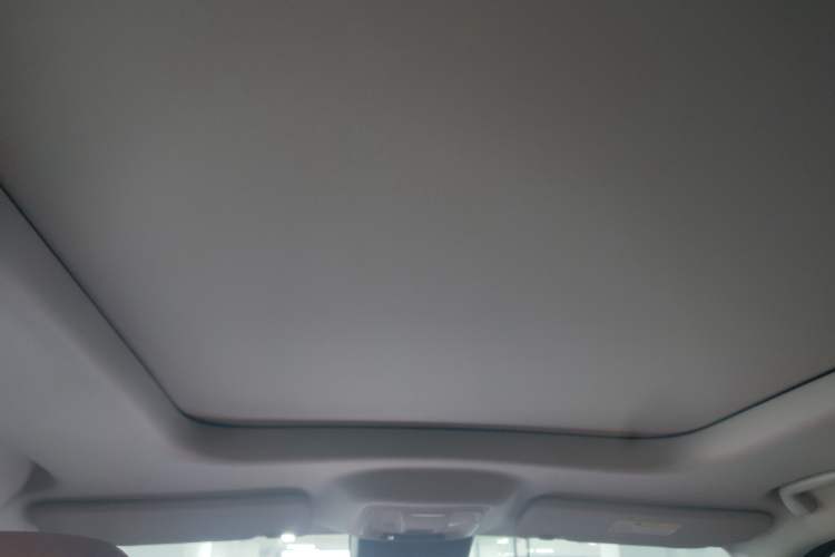 Used Haval H9 2024 2.0T Gasoline All-Wheel-Drive Extreme Edition Headliner
