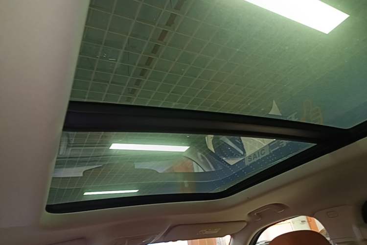 Used Haval H9 2024 2.0T Gasoline All-Wheel-Drive Extreme Edition Headliner