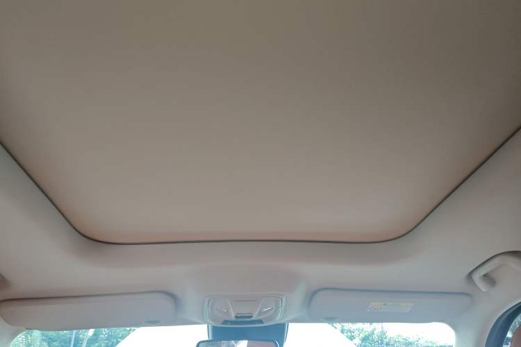 Used Haval H9 2024 2.0T Gasoline All-Wheel-Drive Extreme Edition Headliner