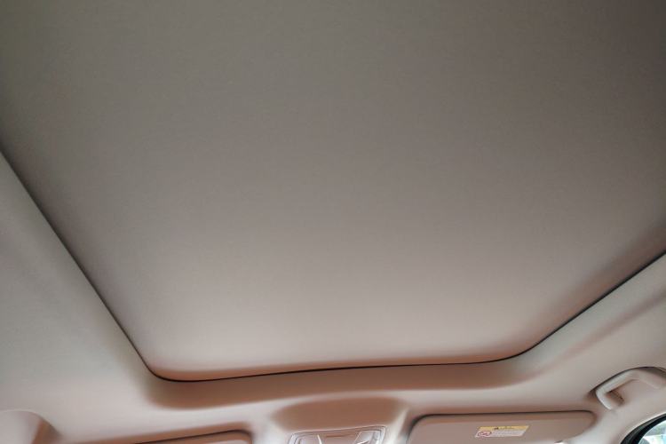 Used Haval H9 2024 2.0T Gasoline All-Wheel-Drive Extreme Edition Headliner
