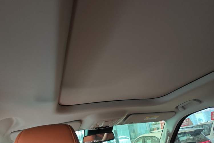 Used Haval H9 2024 2.0T Gasoline All-Wheel-Drive Extreme Edition Headliner