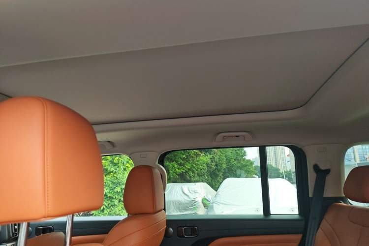 Used Haval H9 2024 2.0T Gasoline All-Wheel-Drive Extreme Edition Headliner