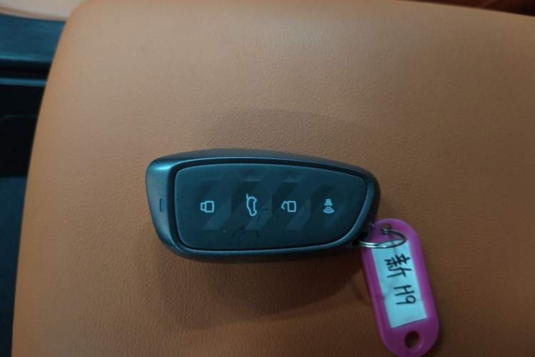 Used Haval H9 2024 2.0T Gasoline All-Wheel-Drive Extreme Edition Interior 1
