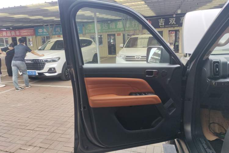 Used Haval H9 2024 2.0T Gasoline All-Wheel-Drive Extreme Edition Left Front Door Interior