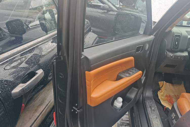 Used Haval H9 2024 2.0T Gasoline All-Wheel-Drive Extreme Edition Left Front Door Interior