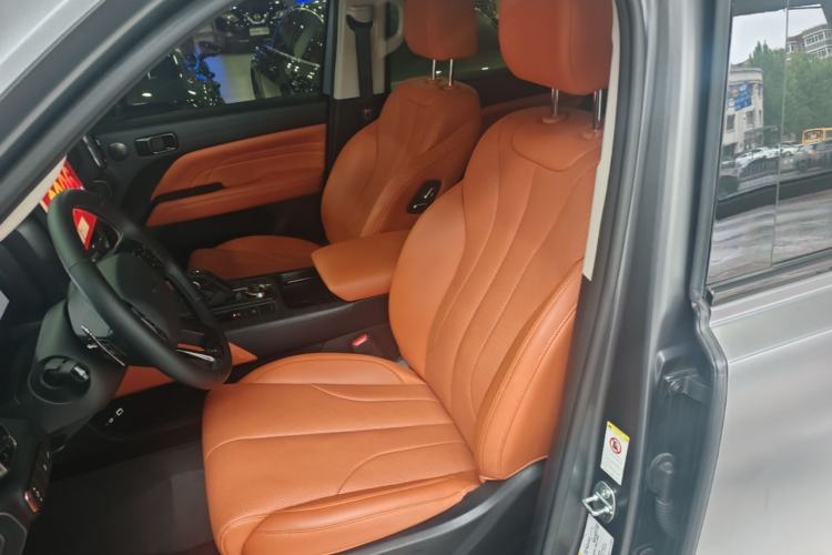 Used Haval H9 2024 2.0T Gasoline All-Wheel-Drive Extreme Edition Left Front Seat