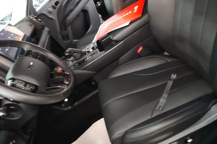 Used Haval H9 2024 2.0T Gasoline All-Wheel-Drive Extreme Edition Left Front Seat