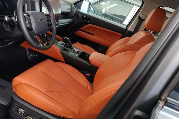 Used Haval H9 2024 2.0T Gasoline All-Wheel-Drive Extreme Edition Left Front Seat