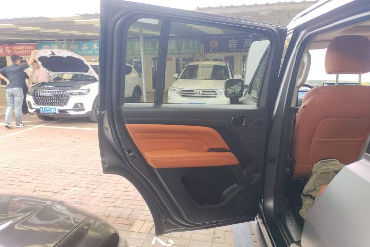 Used Haval H9 2024 2.0T Gasoline All-Wheel-Drive Extreme Edition Left Rear Door Interior