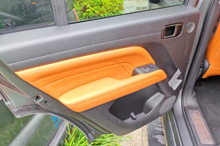 Used Haval H9 2024 2.0T Gasoline All-Wheel-Drive Extreme Edition Left Rear Door Interior