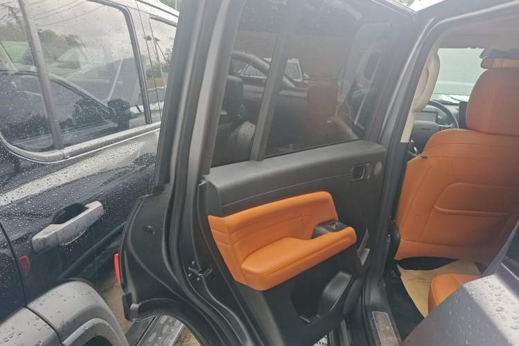 Used Haval H9 2024 2.0T Gasoline All-Wheel-Drive Extreme Edition Left Rear Door Interior