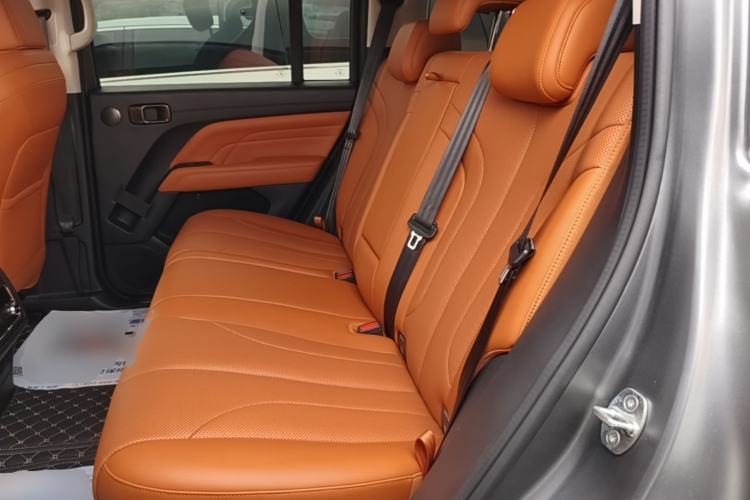 Used Haval H9 2024 2.0T Gasoline All-Wheel-Drive Extreme Edition Left Rear Seat