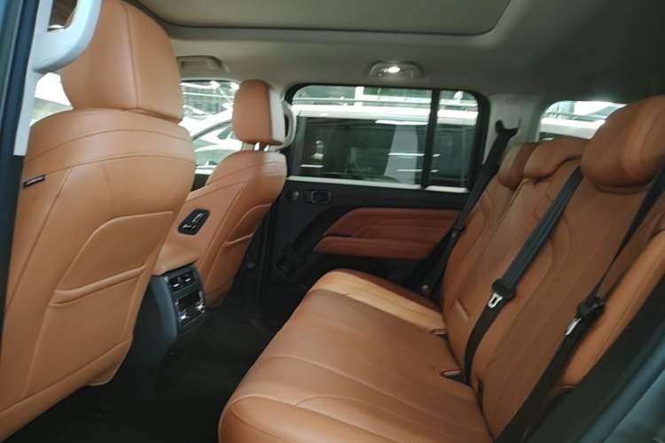 Used Haval H9 2024 2.0T Gasoline All-Wheel-Drive Extreme Edition Left Rear Seat