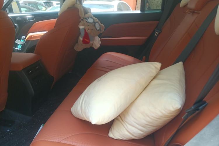 Used Haval H9 2024 2.0T Gasoline 4x4 Territory Edition Left Rear Seat