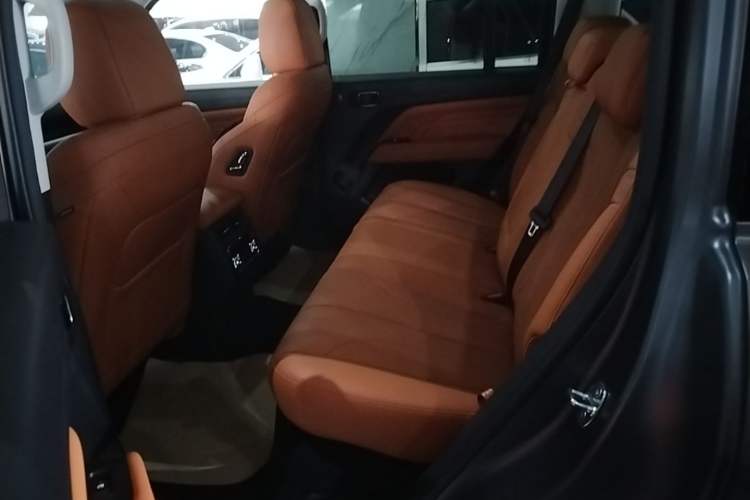 Used Haval H9 2024 2.0T Gasoline All-Wheel-Drive Extreme Edition Left Rear Seat