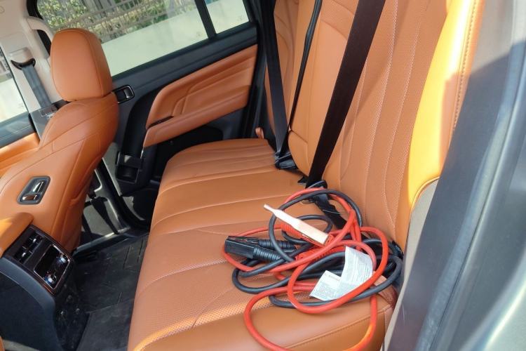 Used Haval H9 2024 2.0T Gasoline All-Wheel-Drive Extreme Edition Left Rear Seat