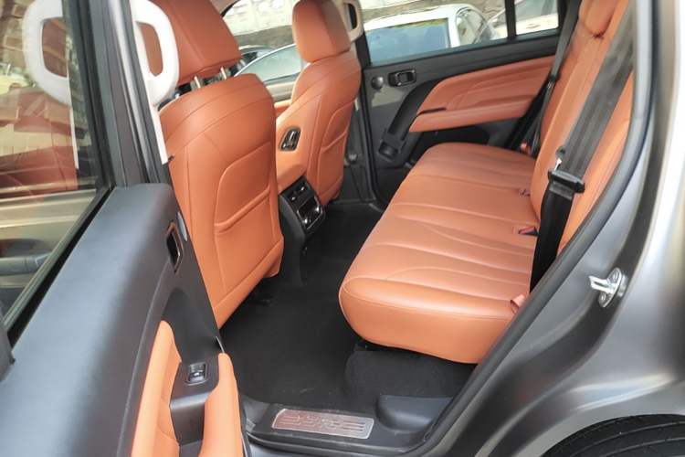 Used Haval H9 2024 2.0T Gasoline All-Wheel-Drive Extreme Edition Left Rear Seat