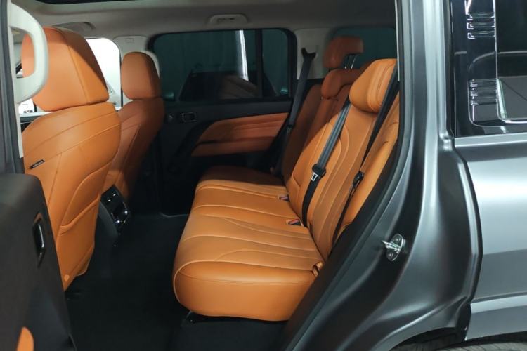 Used Haval H9 2024 2.0T Gasoline All-Wheel-Drive Extreme Edition Left Rear Seat