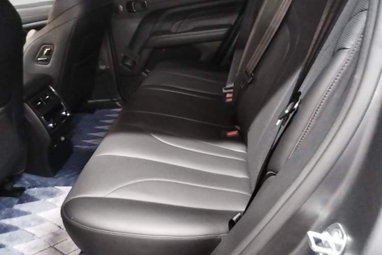 Used Haval H9 2024 2.0T Gasoline All-Wheel-Drive Extreme Edition Left Rear Seat