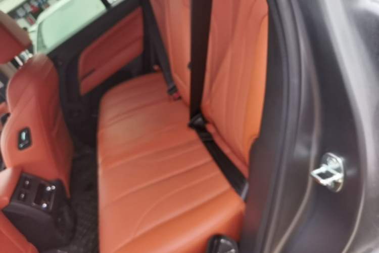 Used Haval H9 2024 2.0T Gasoline All-Wheel-Drive Extreme Edition Left Rear Seat