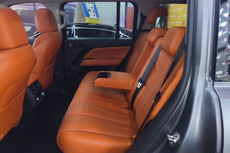 Used Haval H9 2024 2.0T Gasoline All-Wheel-Drive Extreme Edition Left Rear Seat