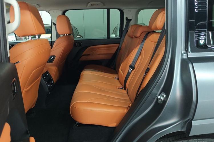 Used Haval H9 2024 2.0T Gasoline All-Wheel-Drive Extreme Edition Left Rear Seat