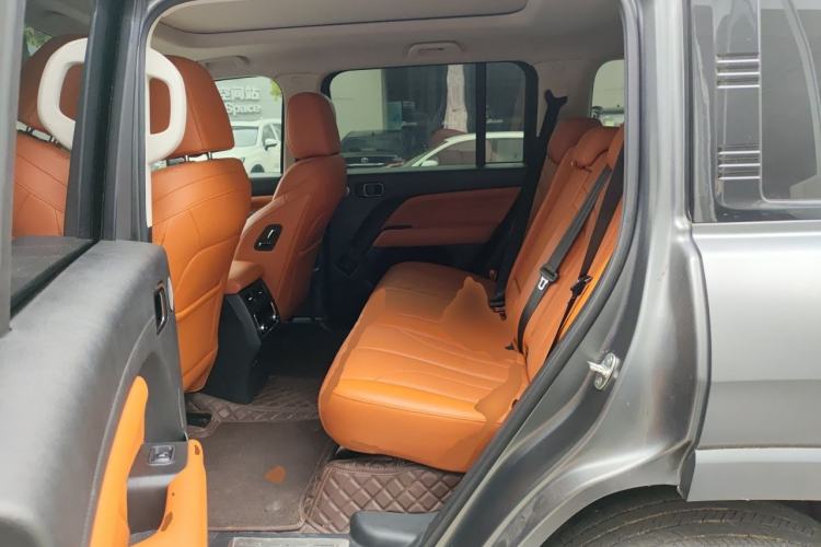 Used Haval H9 2024 2.0T Gasoline All-Wheel-Drive Extreme Edition Left Rear Seat