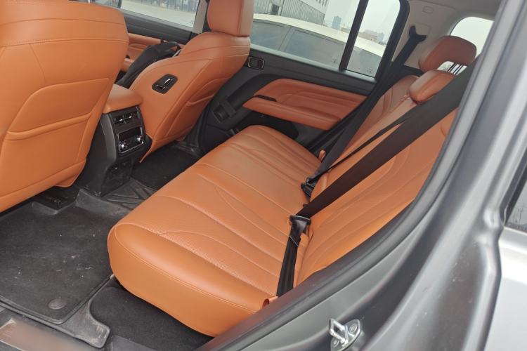 Used Haval H9 2024 2.0T Gasoline All-Wheel-Drive Extreme Edition Left Rear Seat