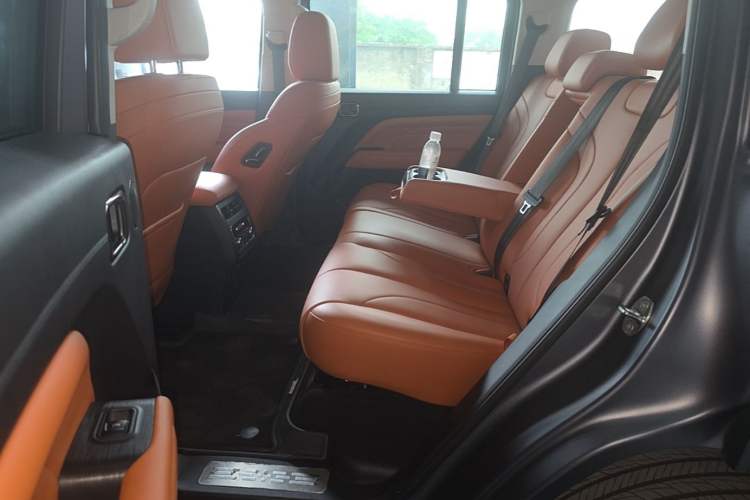 Used Haval H9 2024 2.0T Gasoline All-Wheel-Drive Extreme Edition Left Rear Seat
