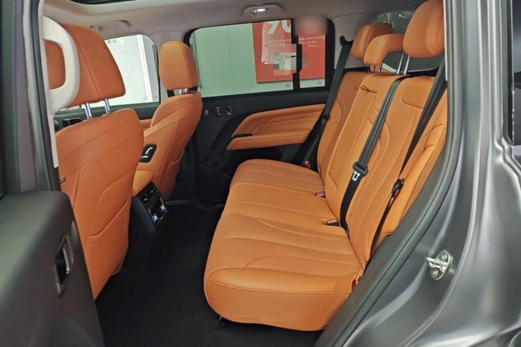 Used Haval H9 2024 2.0T Gasoline All-Wheel-Drive Extreme Edition Left Rear Seat