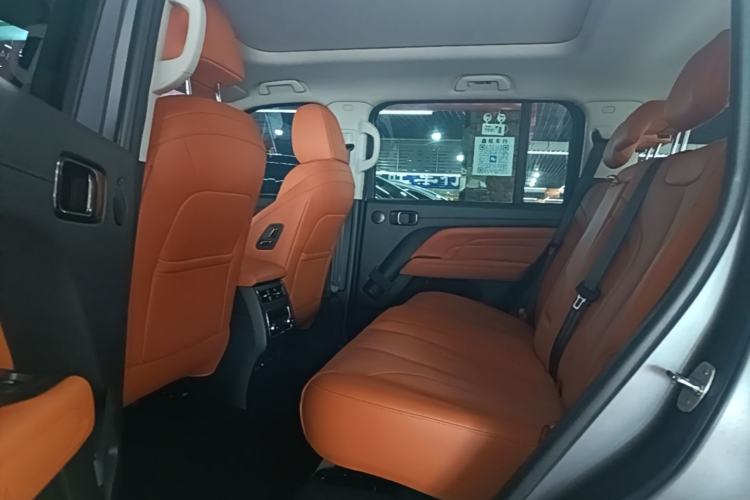 Used Haval H9 2024 2.0T Gasoline All-Wheel-Drive Extreme Edition Left Rear Seat