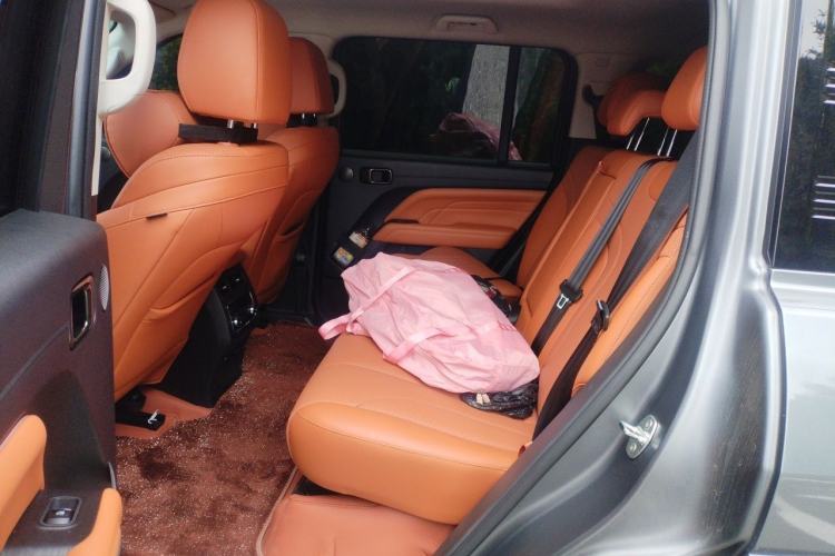 Used Haval H9 2024 2.0T Gasoline All-Wheel-Drive Extreme Edition Left Rear Seat