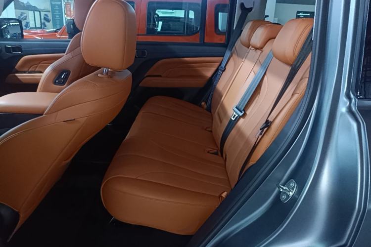 Used Haval H9 2024 2.0T Gasoline All-Wheel-Drive Extreme Edition Left Rear Seat