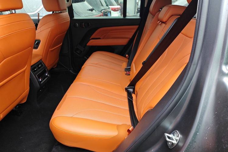 Used Haval H9 2024 2.0T Gasoline All-Wheel-Drive Extreme Edition Left Rear Seat