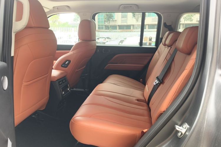 Used Haval H9 2024 2.0T Gasoline All-Wheel-Drive Extreme Edition Left Rear Seat