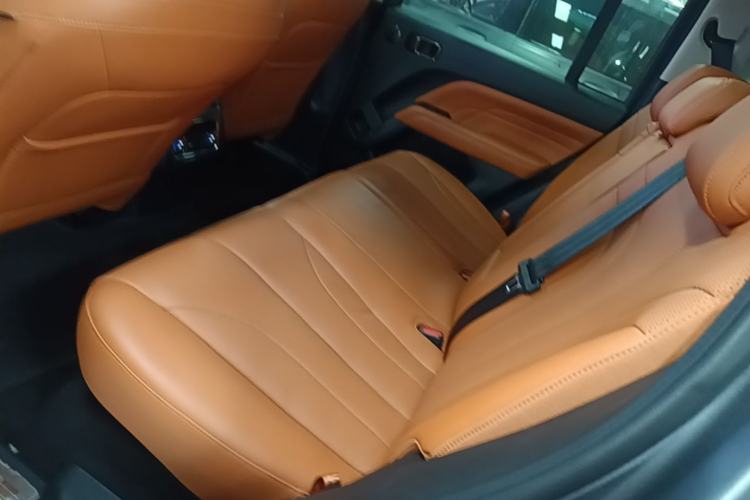 Used Haval H9 2024 2.0T Gasoline All-Wheel-Drive Extreme Edition Left Rear Seat