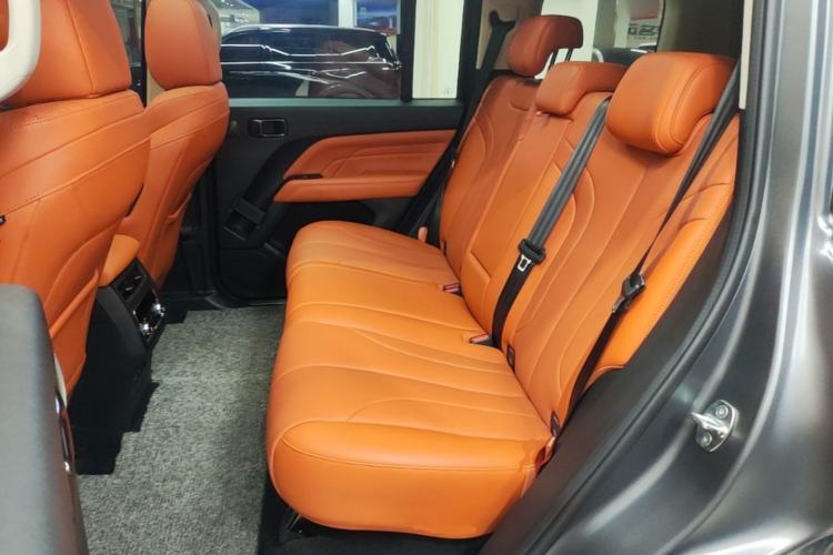 Used Haval H9 2024 2.0T Gasoline All-Wheel-Drive Extreme Edition Left Rear Seat