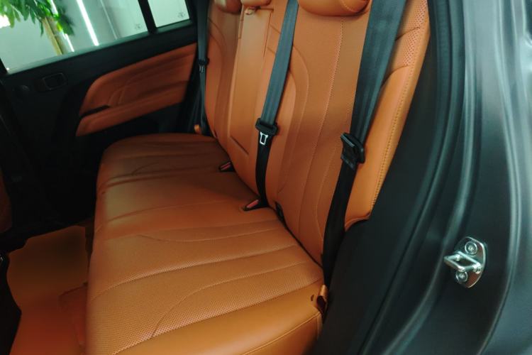 Used Haval H9 2024 2.0T Gasoline All-Wheel-Drive Extreme Edition Left Rear Seat